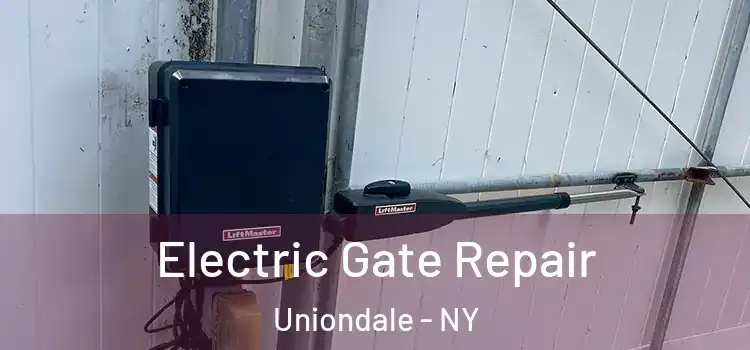  Electric Gate Repair Uniondale - NY