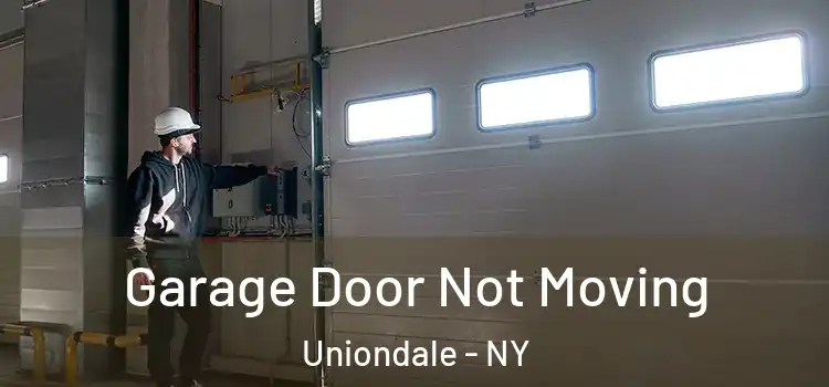  Garage Door Not Moving Uniondale - NY