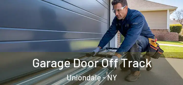  Garage Door Off Track Uniondale - NY