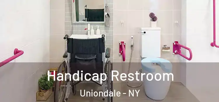 Handicap Restroom Uniondale - NY