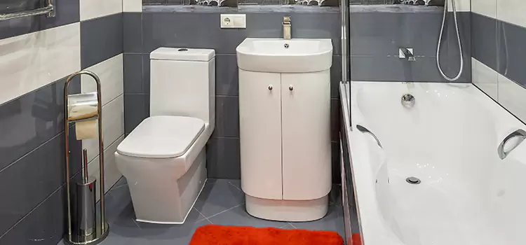 Hansgrohe Shaving Mirror Uniondale