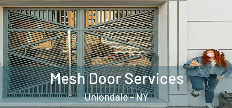 Mesh Door Services Uniondale - NY