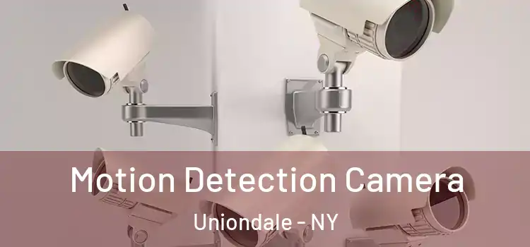  Motion Detection Camera Uniondale - NY